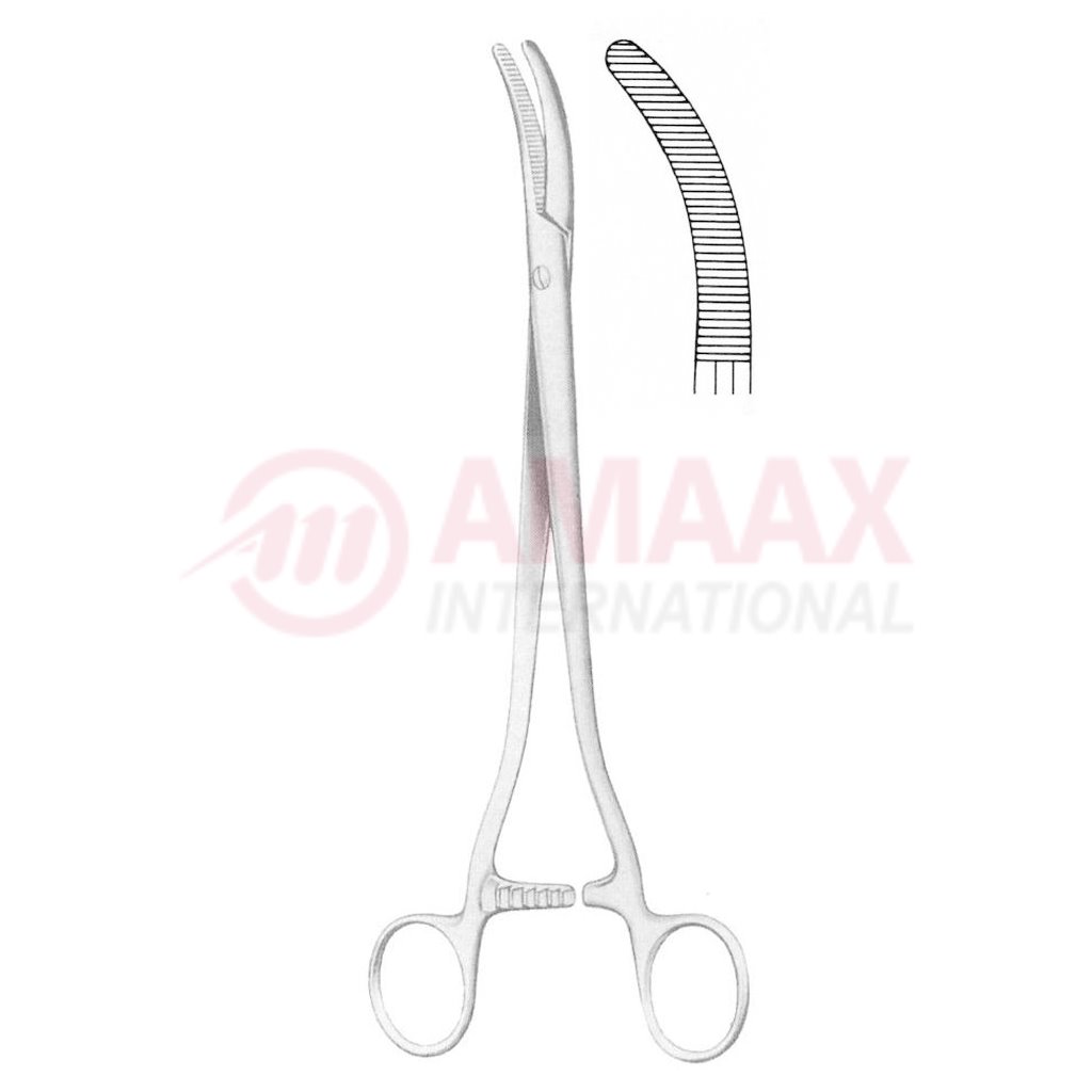 Segond Clamp Forceps Curved 24cm 1 segond-clamp-forceps-curved-24cm