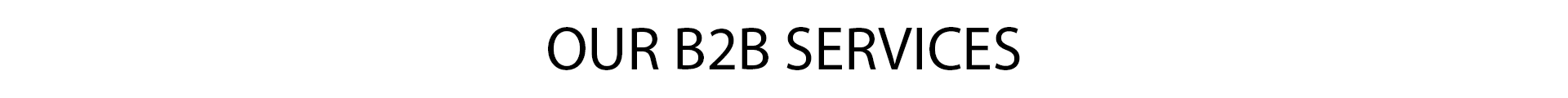 Our B2B services