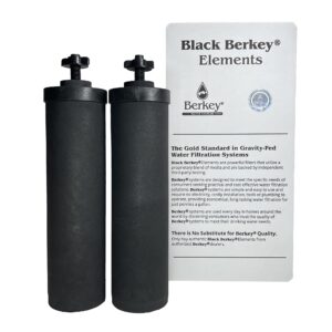 Berkey Authentic Black Berkey Purification Elements Pack of 2 – Premium Water Purifier Replacement Filters for Gravity Filtration Systems