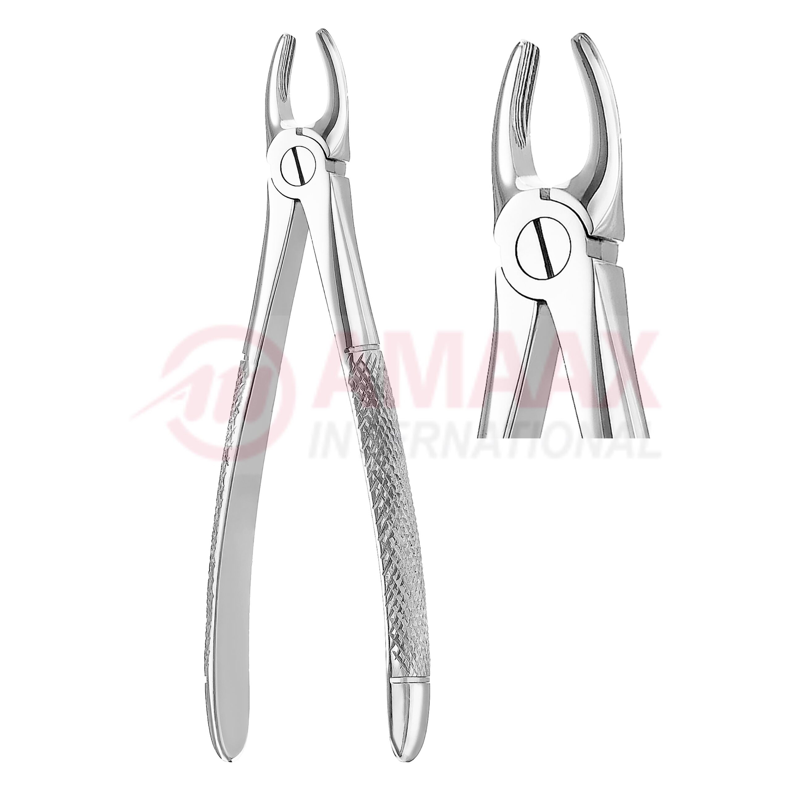 Extracting Forceps English Fig.3 - Image 1