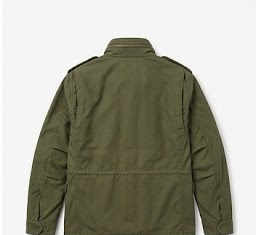 olive m65 back