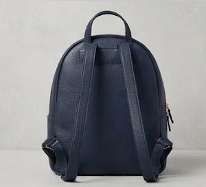 navy backpack back