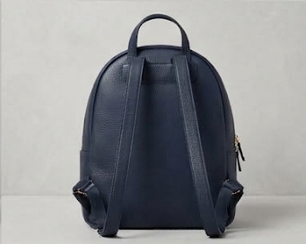 navy backpack back
